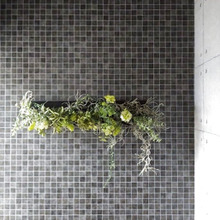 【 グリーンパネルDIY】挿すだけ?置くだけ?我が家の🍃フェイクグリーン🍃の飾り方