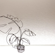 100均ワイヤーでモンステラ