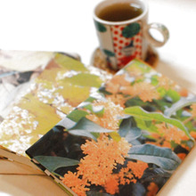 簡単♪思い出写真ブックカバー