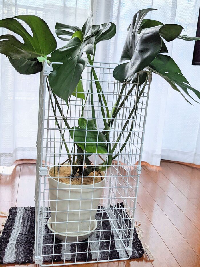 あっという間に完成!  だけど・・・なんかね~