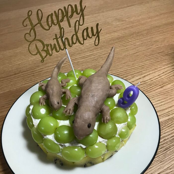 7.スポンジ部分を作成し、飾り付けたら完成です。