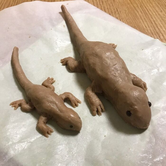 6.再度冷蔵庫で固めます