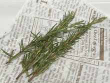 ローズマリーの素揚げ、冷凍ローズマリーでも、、、、やみつきです!!