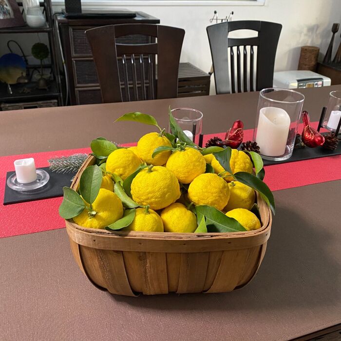 後始末簡単な柚子風呂で身体ポカポカ、肌ツルツル♪