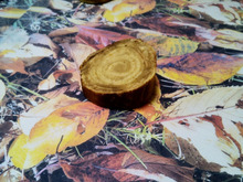 ♡しっとりバームクーヘン&クリームブリュレ風♡