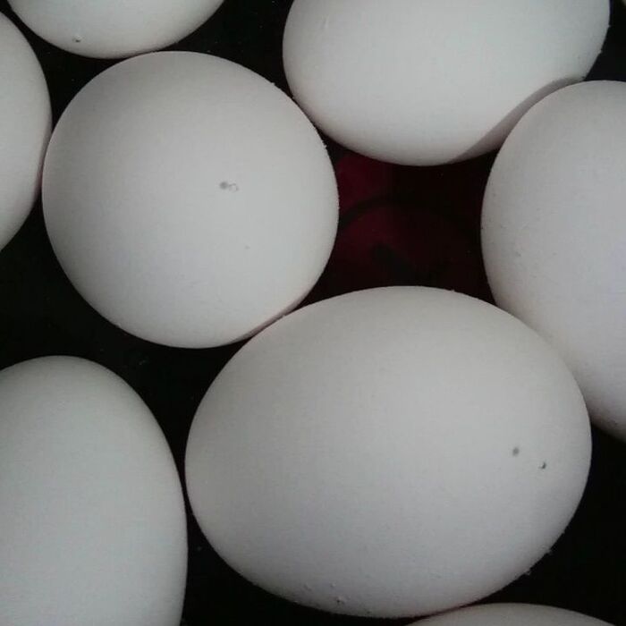 中火にかける。