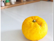 年末価格になる前に!ゆずを買ってきました。