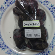 おしゃんなcollar、聞かれたら・・・shadow-queenとさらりと答えたい!!