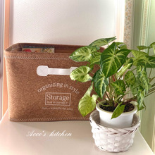 ズボラでOK!DAISO商品で「放りこむ収納」☆