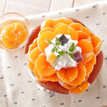 〆パフェ鍋 ~佐賀みかん〆パフェ鍋~