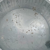 洗濯機の掃除方法を徹底解説!塩素系・酸素系・重曹のなかで効果的なのはどれ?