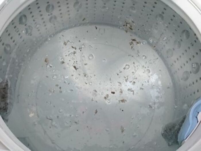 洗濯機の掃除方法を徹底解説!塩素系・酸素系・重曹のなかで効果的なのはどれ?
