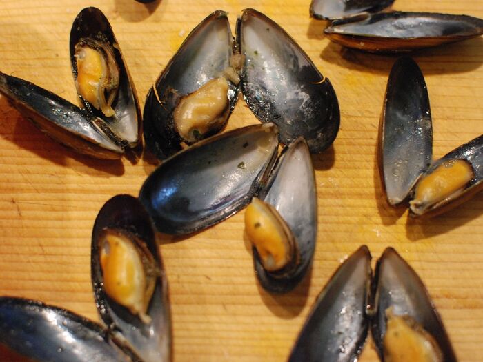 ムール貝は殻を開けます