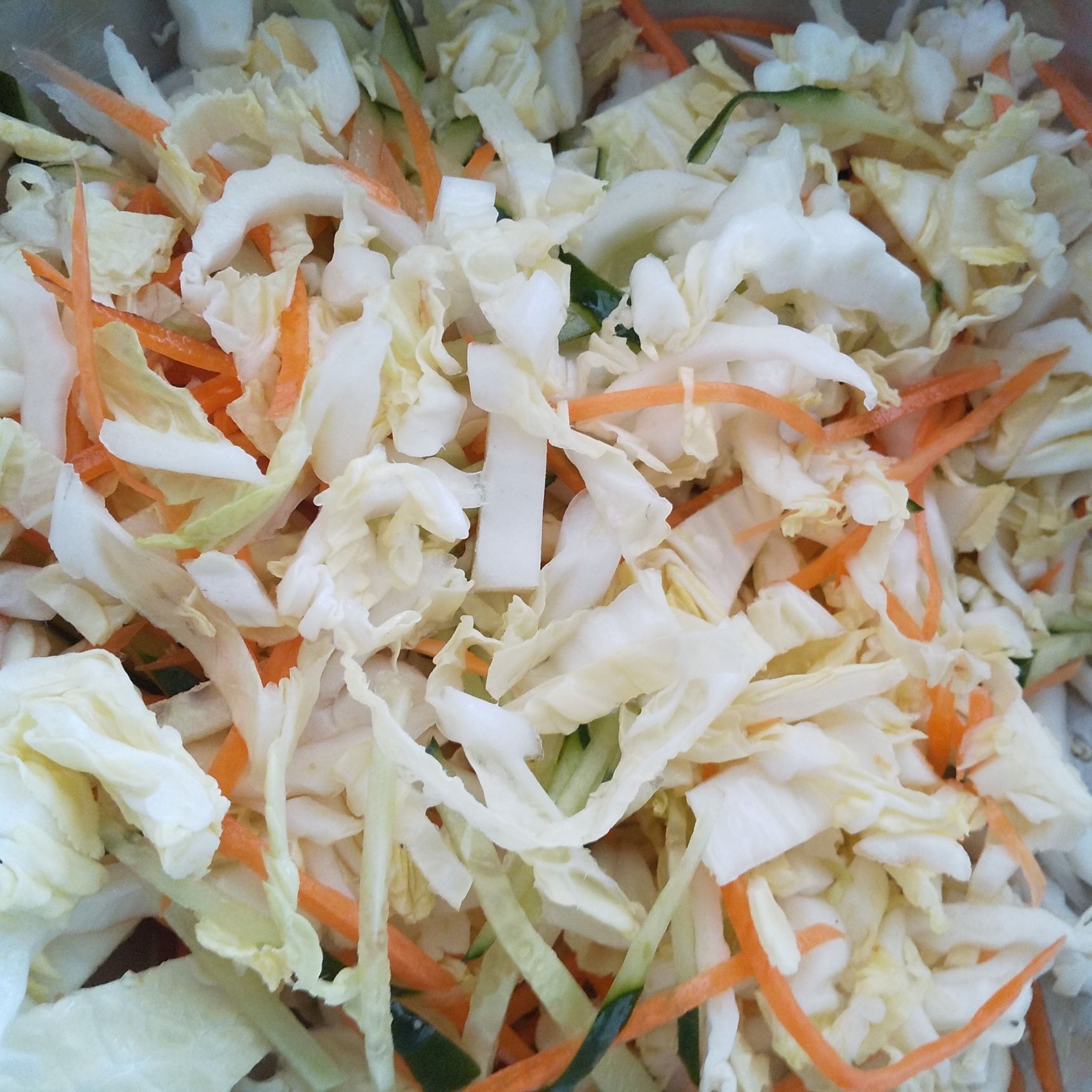 1　白菜、胡瓜、人参を切って塩をふる。しっかり水分を絞る。