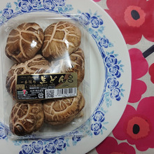 🍄 🍄 🍄 🍄 このひび割れ・・・・高級どんこの証し!!🍄 🍄 🍄 🍄 🍄 🍄