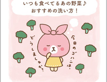 意外に知らない!ブロッコリーの洗い方って?