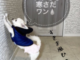 【暖房費節約】ドアのすきま風をボクが【100均】で解決!だワン♡