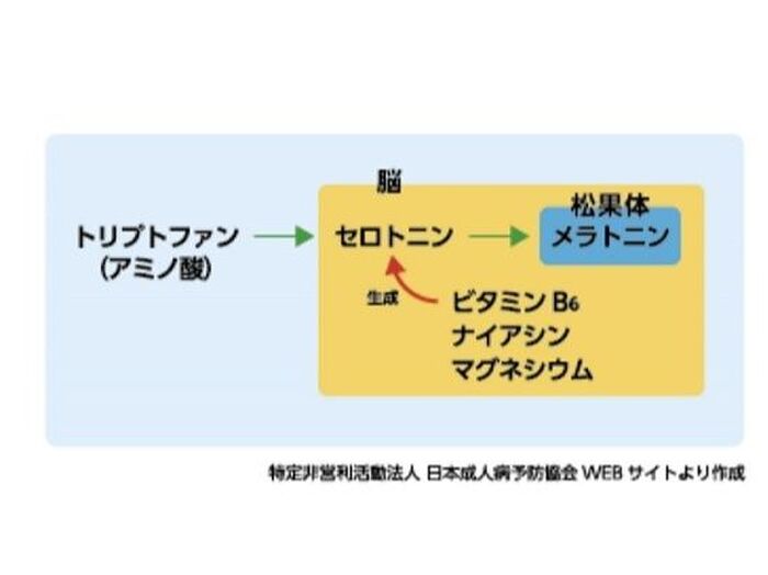 セロトニンの生成には「マグネシウム」?