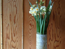 【おうち時間の過ごし方】たまには、花でも飾ってみますか?花器のない暮らしのひと工夫