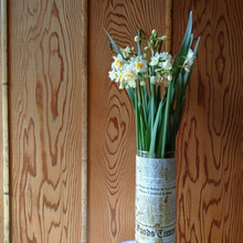 【おうち時間の過ごし方】たまには、花でも飾ってみますか?花器のない暮らしのひと工夫