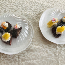 見本は回転寿し!アレがラップに負けない保存カバーに