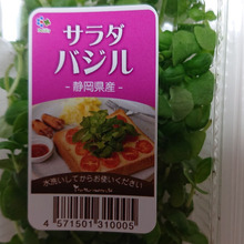 It's cute !! 見た殆どの人が、カートへ !!