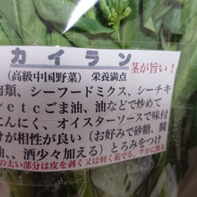 チャイニーズブロッコリー、ぴかイチ美味しい中国野菜!!