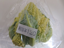 サイズも値段もきゃわいい!!