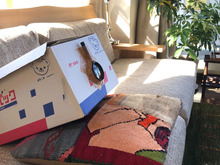 材料費¥100!手作り出来ちゃった♪スマホプロジェクター