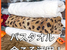 冬に大活躍⁈あると便利な6つのアイデア