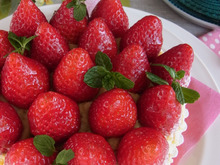 お雛様のお祝いにも♪イチゴ🍓のタルト