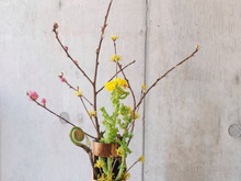 ♡ひな祭りに花を飾ろう♡