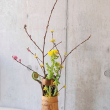 ♡ひな祭りに花を飾ろう♡