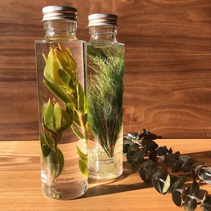 おしゃれで簡単!植物標本【ハーバリウム】