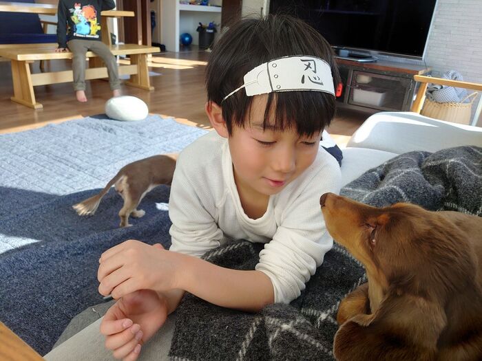 不要品から生まれたエコな即席忍者!
