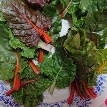 colorful、小葉 !!