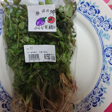 春の七草の一つ・・・・