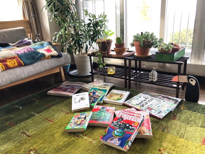 リビングに本、が好き♪