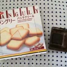 ラングリーの容器、絶賛活躍中(不用品活用)