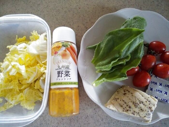材料