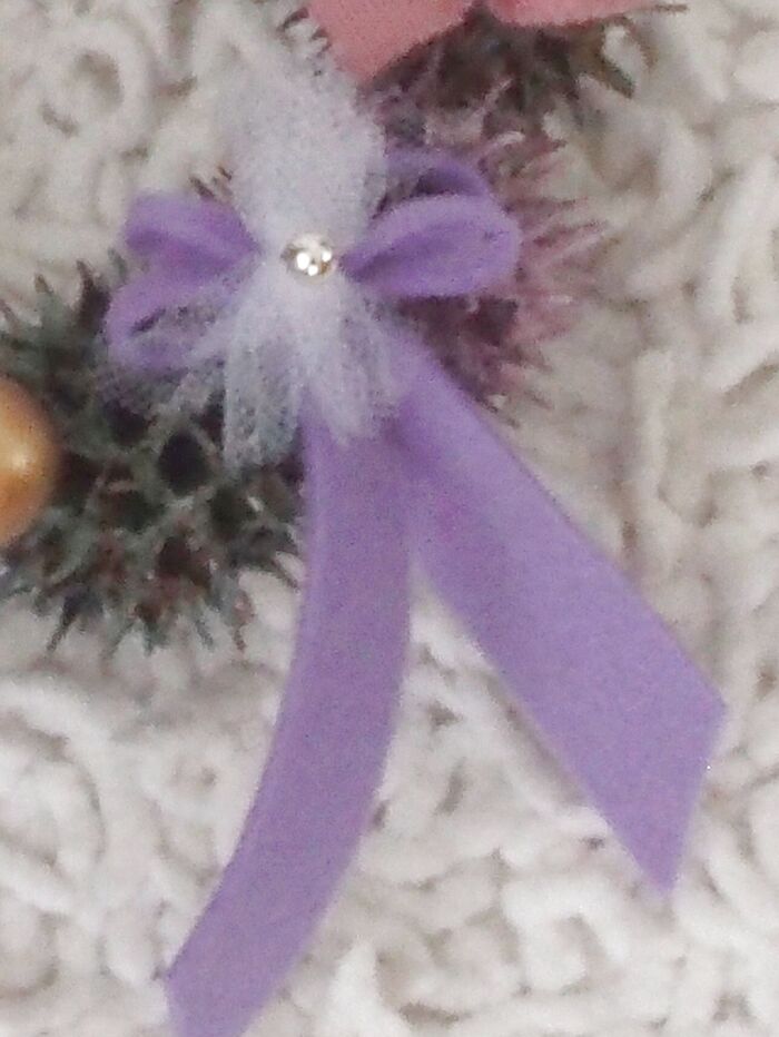 ズーム②