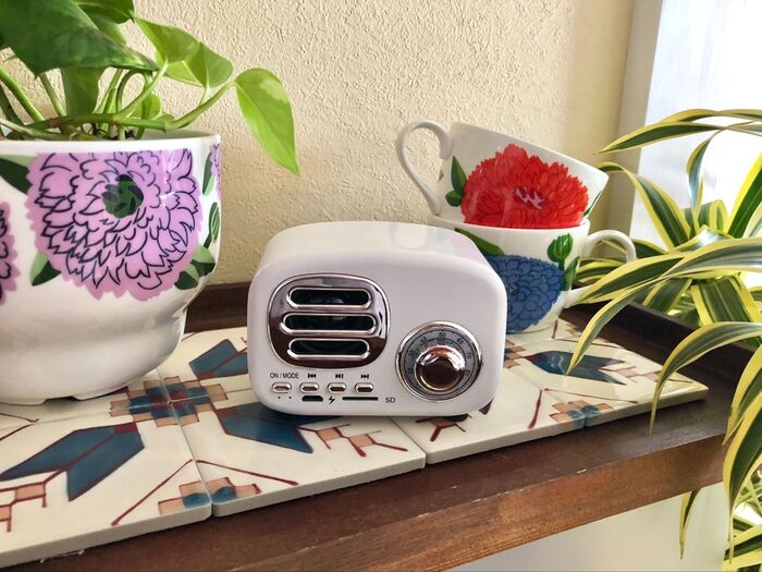 これダイソー!?!♡レトロ仕様が可愛くて即買い!