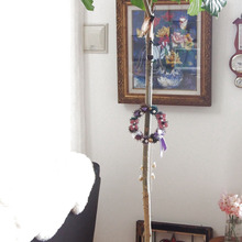 伸びきったウンベラータの幹に「春リース」を掛けて、、、、、