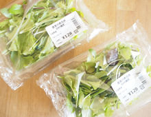 安いとき買いだめしても大丈夫!「ベビーリーフ」長持ち保存法♪