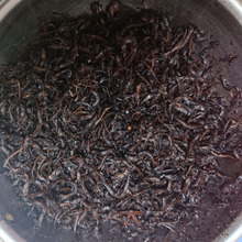 🍸🍸 Ikanago sec bordelaise ボルドーに恋した”いかなご”達 🍸🍸