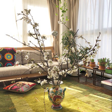 お家お花見♪春のインテリア