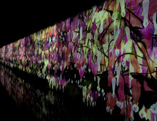 「チームラボ」の新たなアート体験♪「TikTok チームラボリコネクト」サウナで「ととのい」アートを鑑賞!