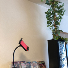 つっぱり棒を『木』にしてみた!