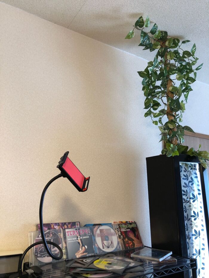 つっぱり棒を『木』にしてみた!