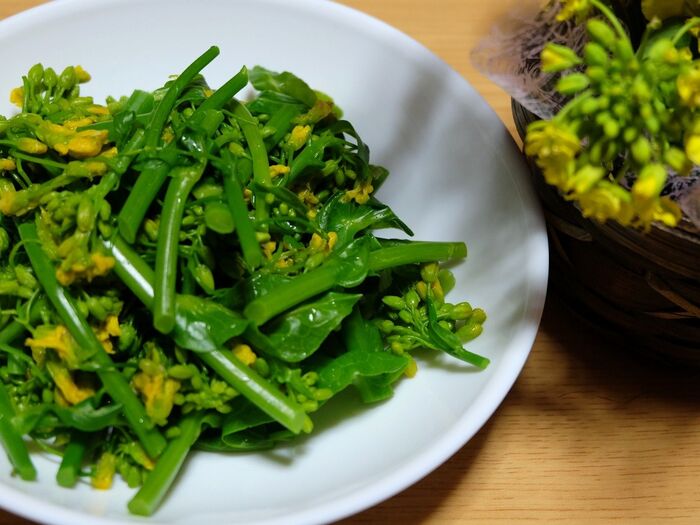 春の野菜♡菜の花を美味しさ長持ちさせるオススメの保存方法